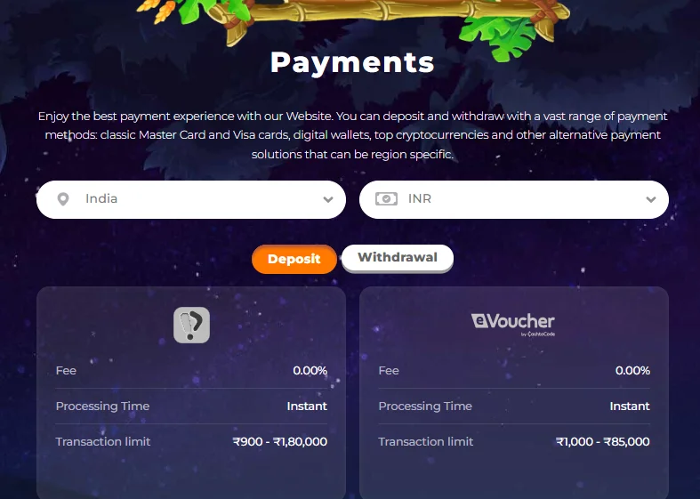 Payment Methods for India