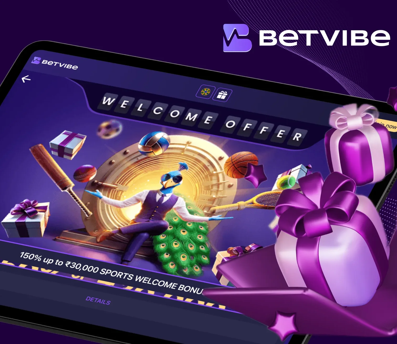 User Experience & Interface